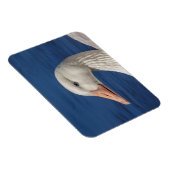 ホワイトカナダガチョウ マグネット (右側)