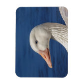 ホワイトカナダガチョウ マグネット (縦)