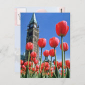 ホワイトカナダチューリップフェスティバルピースタワーとトゥ ポストカード (正面/裏面)