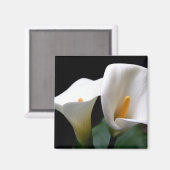 ホワイトカラユリ花角磁石 マグネット (正面/裏面)