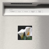 ホワイトカラユリ花角磁石 マグネット (インサイチュ (食洗機))