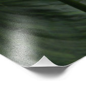 ホワイトカラリリーとダーク葉フローラ フォトプリント            (角)