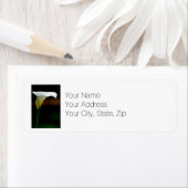 ホワイトカラリリー差出人住所 ラベル (インサイチュ)