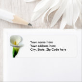 ホワイトカラ1 ラベル (インサイチュ)