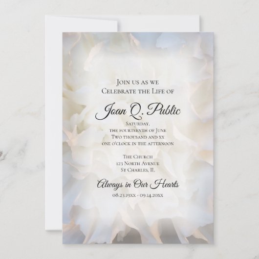 ホワイトカーネーションお祝いの生涯の記念 招待状 (正面)