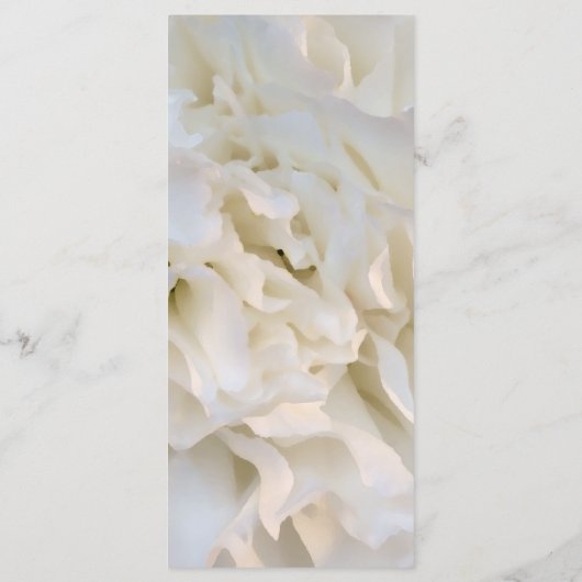 ホワイトカーネーションフローラ結婚式 プログラム (裏面)