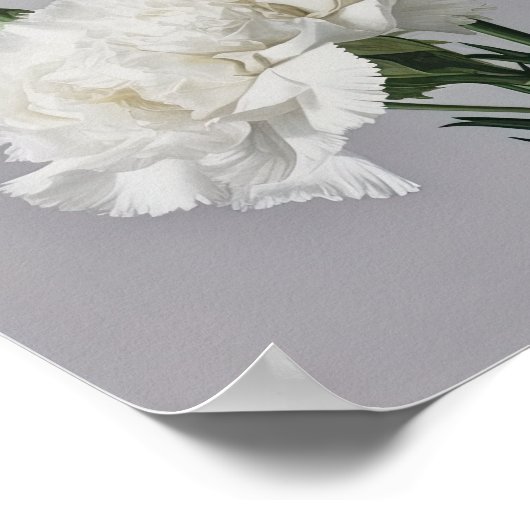 ホワイトカーネーション花芸術プリントポスター ポスター (角)