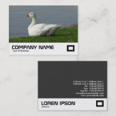 ホワイトガチョウ 名刺 (正面/裏面)