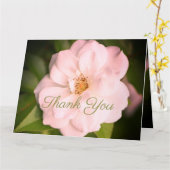 ホワイトガーデンバラ カード (黄色い花)