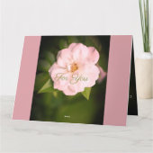 ホワイトガーデンバラ カード (裏面)