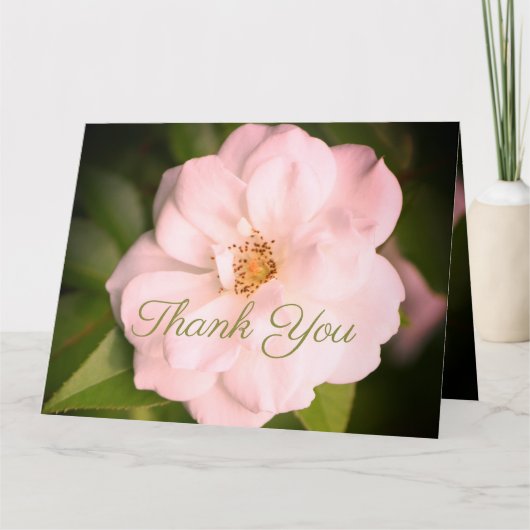 ホワイトガーデンバラ カード (正面)