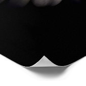 ホワイトガーベラデイジー ポスター (角)