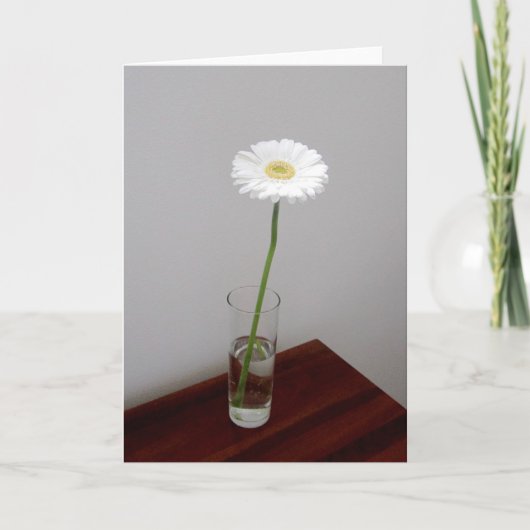 ホワイトガーベラ2カード カード (正面)