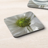 ホワイトキクのコルクコースター コースター (左側)