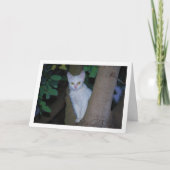 ホワイトキッテンインツリーポートレート カード (正面)