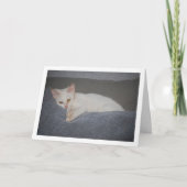 ホワイトキットオンソファ カード (正面)