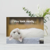 ホワイトキットンウェルカム新学期メッセージカード 招待状 (スタンド正面)