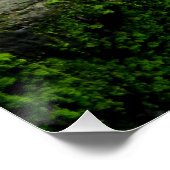 ホワイトキャットトリビア ポスター (コーナー)