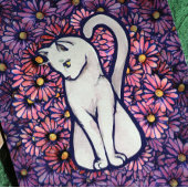 ホワイトキャットマウーブデイジー