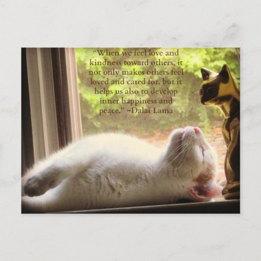 ホワイトキャット&ダライラマ親切引用文 ポストカード (正面)