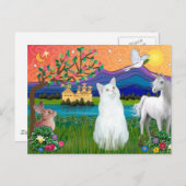 ホワイトキャット – ファンタジーランド ポストカード (正面/裏面)