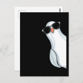 ホワイトキングピジョンフェンシングメンズピジョンレーシングピジョン ポストカード (正面/裏面)