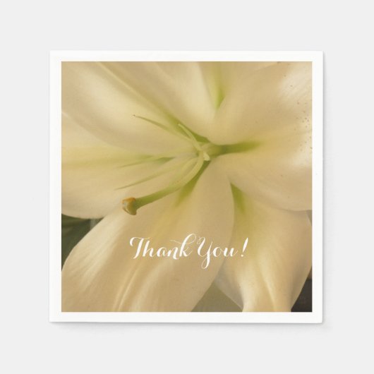 ホワイトクエレガントレマナプキンス スタンダードカクテルナプキン (正面)