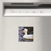 ホワイトクリステッドアヒル マグネット (インサイチュ (食洗機))