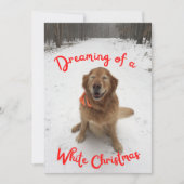 ホワイトクリスマスのゴールデンレトリバー夢 シーズンカード (正面)