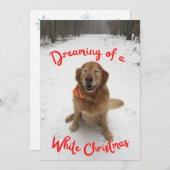 ホワイトクリスマスのゴールデンレトリバー夢 シーズンカード (正面/裏面)