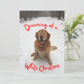 ホワイトクリスマスのゴールデンレトリバー夢 シーズンカード (スタンド正面)