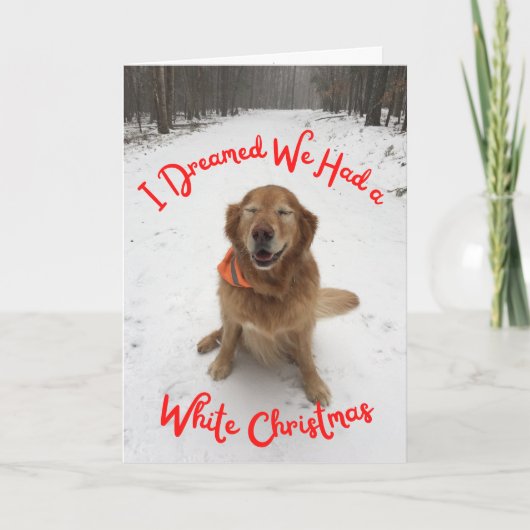 ホワイトクリスマスのホリデーカードドッグ夢 カード (正面)