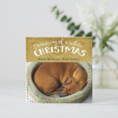 ホワイトクリスマスの夢を見ること シーズンカード (スタンド正面)