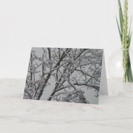 ホワイトクリスマスカード シーズンカード