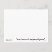 ホワイトクリスマスツリーカード シーズンポストカード (裏面)