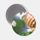 ホワイトクリスマスバラ マグネット (正面/裏面)