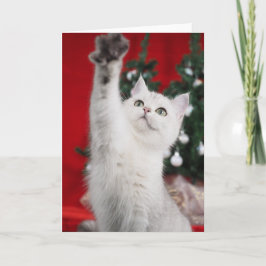 ホワイトクリスマス猫 シーズンカード