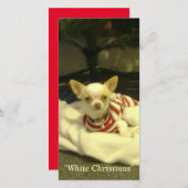 「ホワイトクリスマス」封筒の有無を問わないフォトカード シーズンカード (正面/裏面)