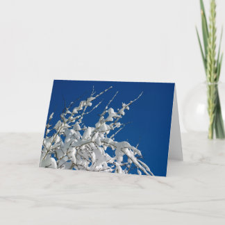 ホワイトクリスマスII シーズンカード