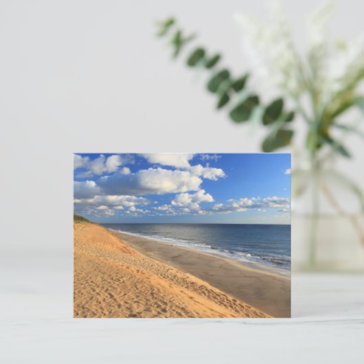 ホワイトクレストビーチケープコッド海ビーチの概要 ポストカード (スタンド正面)