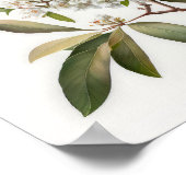 ホワイトクレープマートルフラワーアートプリントポスター ポスター (角)