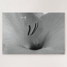 ホワイトグラジオリ