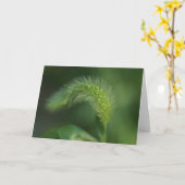 ホワイトグラスグリーティングカードH カード (黄色い花)