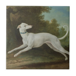 ホワイトグレイハウンド犬(Jean-Baptiste Oudry) タイル