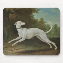 ホワイトグレイハウンド犬(Jean-Baptiste Oudry)