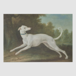 ホワイトグレイハウンド犬(Jean-Baptiste Oudry) 薄葉紙