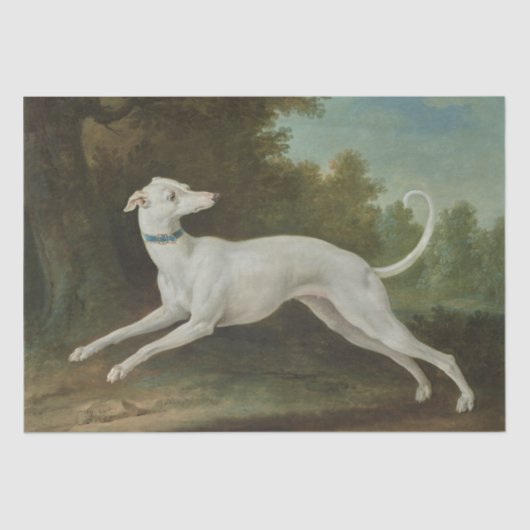 ホワイトグレイハウンド犬(Jean-Baptiste Oudry) 薄葉紙 (正面)