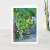 ホワイトグレープつる植物ポートレート カード (正面)
