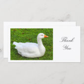 ホワイトグース – ありがとう サンキューカード (正面/裏面)