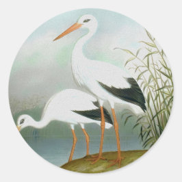 ホワイトコウノトリ、鳥のイラスト ラウンドシール